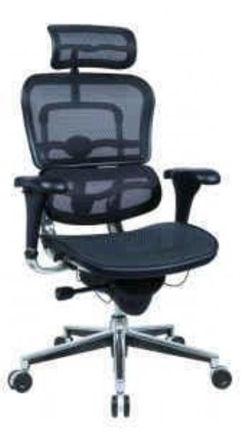 ME7ERG Eurotech Seating Ergohuman High-Back Mesh Chair with Headrest (Black)