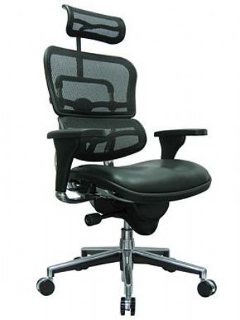 ME7ERG Raynor Ergohuman Mesh Back Chair with Leather Seat & Headrest (Green)