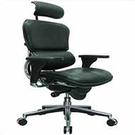 Ergohuman Executive Leather Chair 