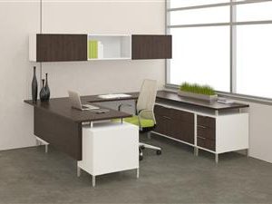 TeamWorx U-Shape with Credenza and Overhead (Regal White and Black Forest Walnut)