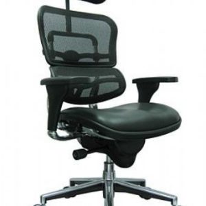 ME7ERG Raynor Ergohuman Mesh Back Chair with Leather Seat and Headrest (Green)