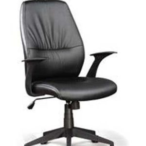 5521 - 5500HR - Leather High-Back Executive Chair with Headrest