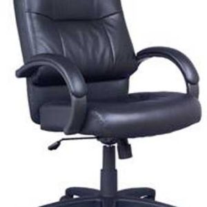6021 Tempest Series Mid-Back Executive Chair (Black)